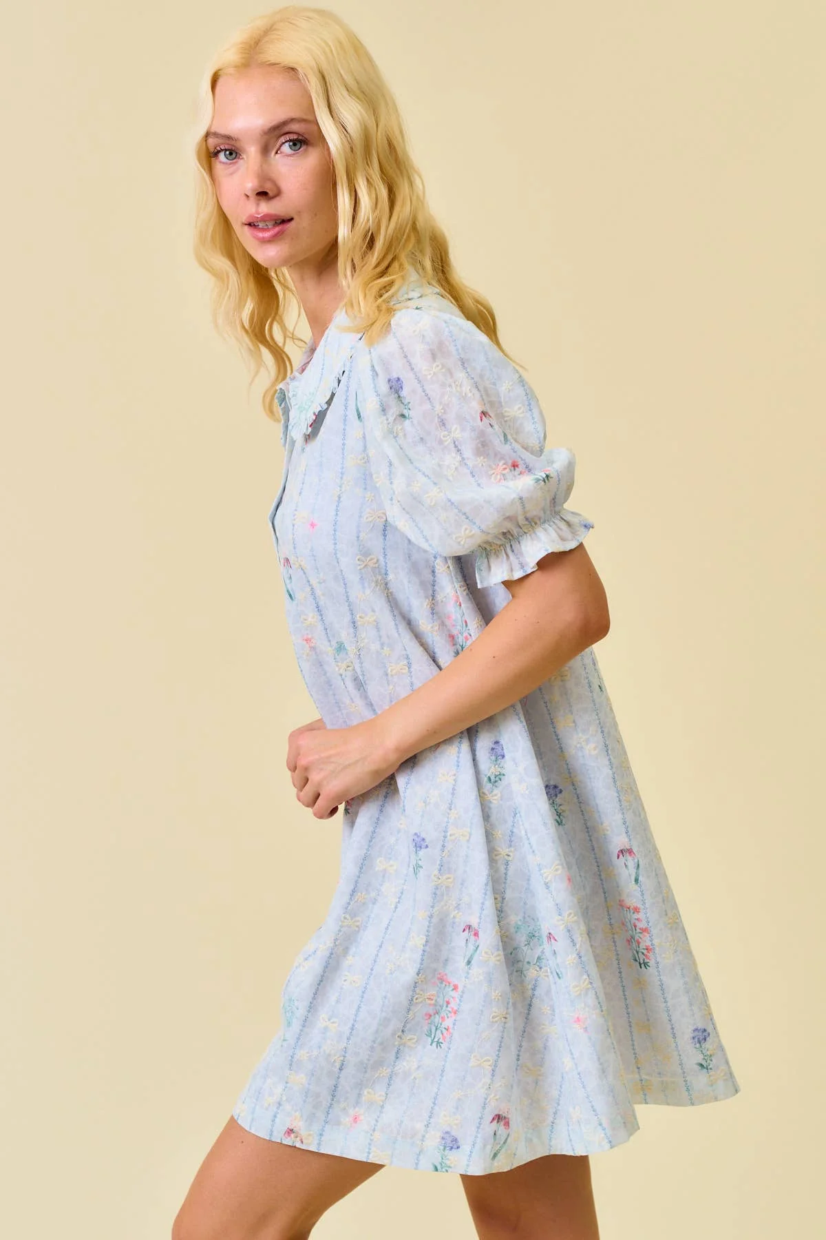 Hadley Embroidered Swing Dress - Image 4