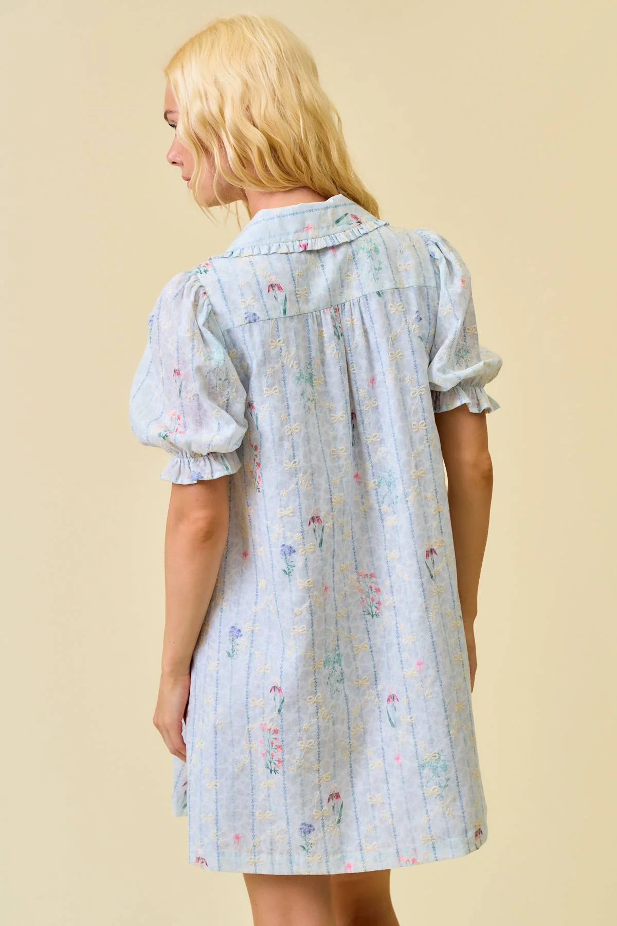 Hadley Embroidered Swing Dress - Image 5