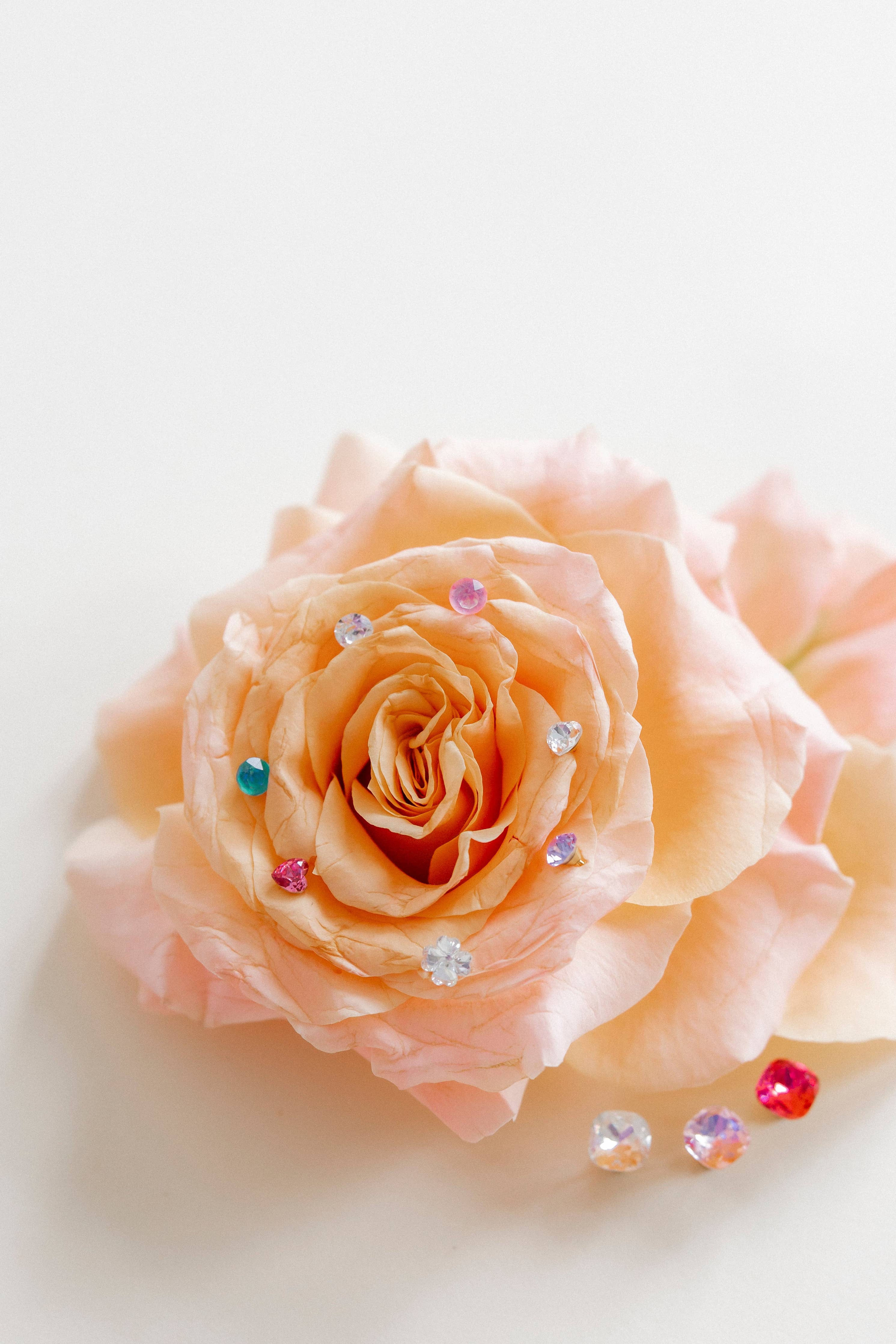 Screwback Stud Earrings Lux - Zuri Clear - Image 7